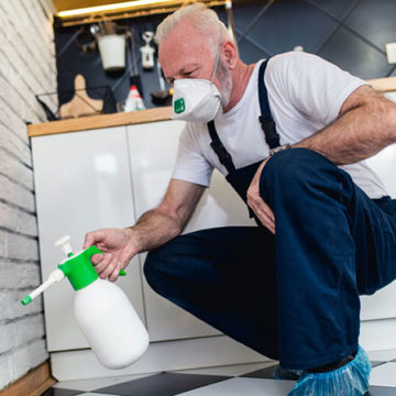 pest control services elite